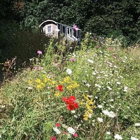 Insolites Proche Nancy