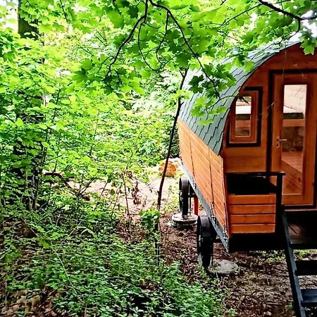 Insolites Proche Nancy Marbache