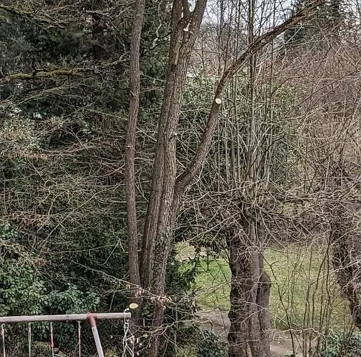 Insolites Proche Nancy