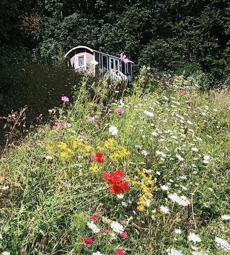 Insolites Proche Nancy